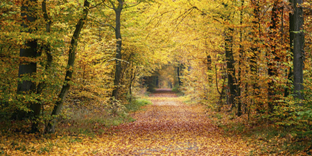 Counselling in Birmingham